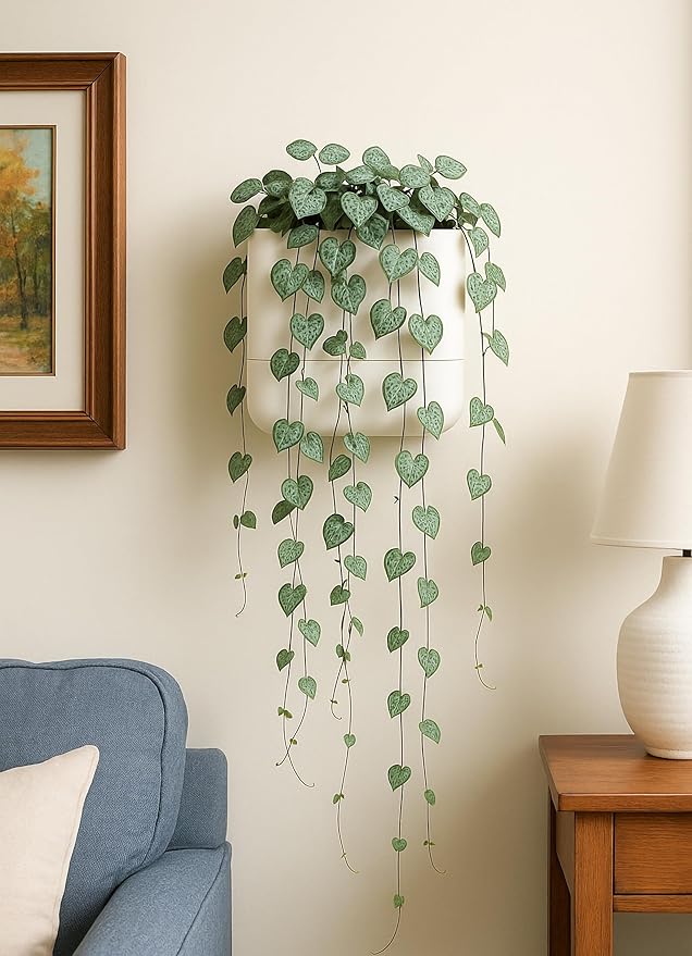 Phoenix Vine 6.5 Inch Wall Mounted Self-Watering Planter Pot for Indoor Houseplants and Herbs | Hanging Planter for Window Sills, Bathroom Walls, Home & Office Décor, Oatmeal, Set of 2, 01-C-G-2