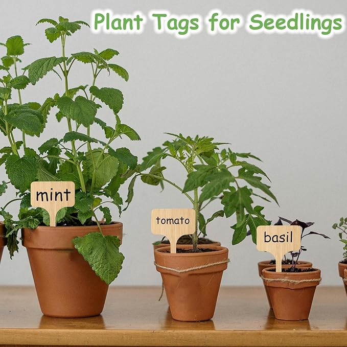 75Pcs Bamboo Plant Labels with 1 Marker Pen, T-Type Natural Seedling Nursery Sign Tags, Wood Garden Markers Decorative Patio Tags for Outdoor Indoor Potted Plants Herbs Flowers Vegetables