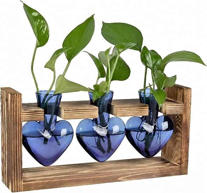 Plant Propagation Station 3Pcs Heart Vase with Wooden Stand Tabletop for Hydroponics Indoor Home Table Decor for Her Plant Lovers Women Mom Wife Daughter (Blue)