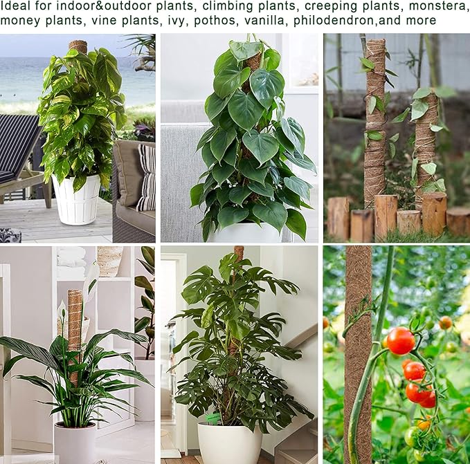 Fabulas Moss Pole 47.5 Inch - Monstera Plant Support, 4 Packs 16 Inch Plant Stakes for Indoor Plants Coco Coir Moss Pole Sticks for Climbing Potted Live Plants, Pothos, Philodendron, with Garden Ties