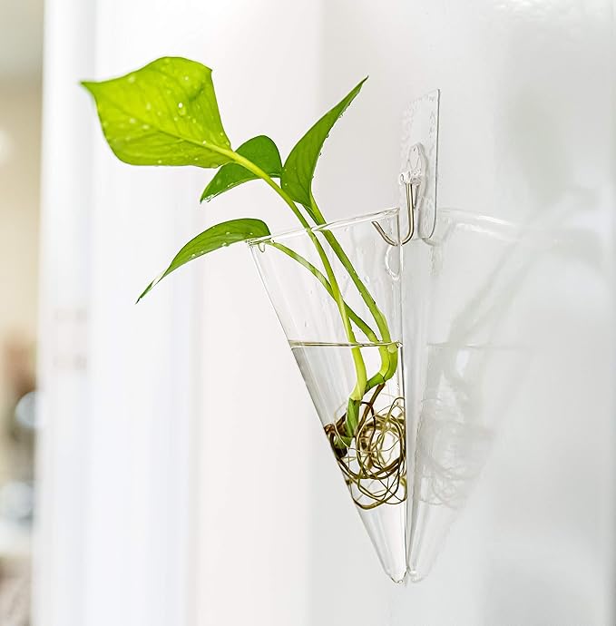 Kingbuy Levitating Glass Planter for Succulents & Hydroponic Plants - 2 Pack Cone-Shaped Wall Vases Floating Terrarium Planters Wall Mount for Indoor Home Office Kitchen Decor (Medium)