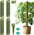 Moss Pole Monstera Plant Support - 42.5" Stackable D-Shape Stakes for Indoor Plants - No-Rot Plastic Sticks & Tall Trellis for Pothos Climbing Vines Houseplant