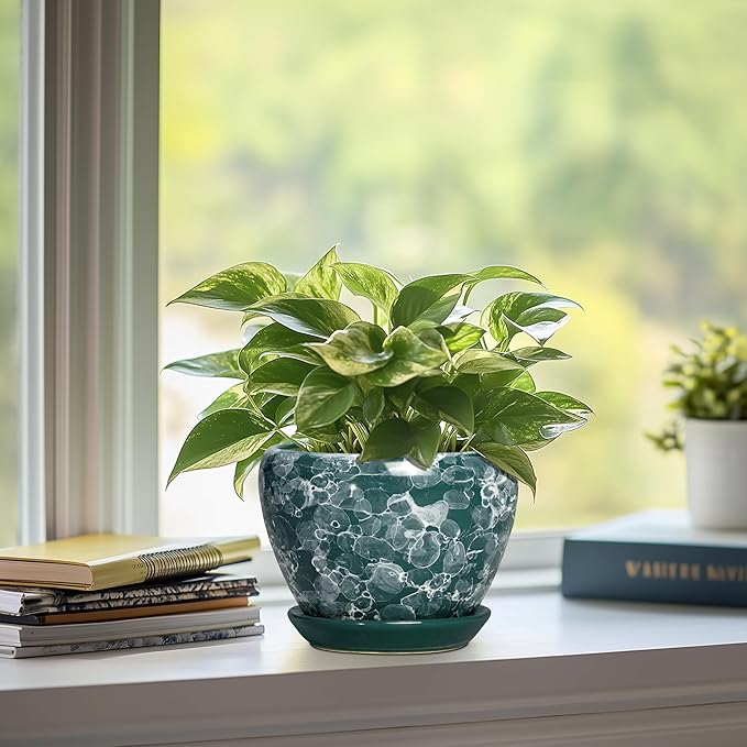 6 Inch Planter - Ceramic Plant Pots Indoor with Drainage Hole and Saucer, Indoor Plant Pots for Flowers Plants, Round Modern Small Planter, Bedroom Decor, Plants Lover Gift, Bubble Green