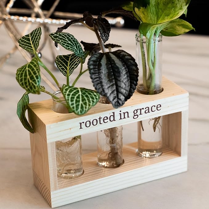 Rooted in Grace: Plant Propagation Stations: Plant Cutting Holder w/ 3 Glass Propagating Vases, Unique & Encouraging Christian Gifts for Women, Faith-Inspired Home Decor