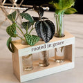 Rooted in Grace: Plant Propagation Stations: Plant Cutting Holder w/ 3 Glass Propagating Vases, Unique & Encouraging Christian Gifts for Women, Faith-Inspired Home Decor
