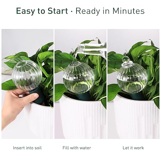 Soilagua 12 oz Plant Watering Globes Top Fill, Clear Glass Water Bulbs with Terracotta Spikes Stake, Vacation Slow Release Self Watering Planter Insert, Automatic Drip Device, 2 Pack