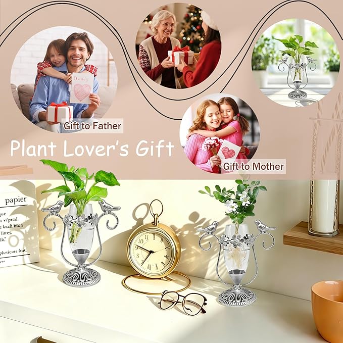 Vintage Plant Propagation Station, Hummingbird Metal Glass Plant Terrarium Stand, Office Desk Room Unique Flower Vase, Plant Lovers Gift Ideas for Women, Men (Silver)