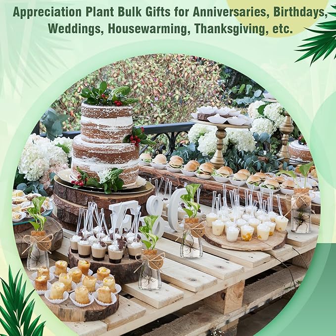 Baderke 48 Pack 3.35'' Plastic Plant Propagation Stations with Hole Lid Planter Vase Clear Propagation Jars with Thank You Tags for Plant Lover Gifts for Women Office Home Garden