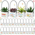 Dansydaisy 32 Pcs Teacher Appreciation Gift Succulents Wraps Bags Thank You for Helping Me Grow Valentine's Day Gift for Teacher Succulents Pots with Handle Paper Plants Baskets Bulk Decorations
