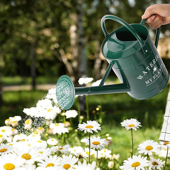 Garutom Galvanized Watering Can for Outdoor Indoor Plants, 1 Gallon Decorative Countryside Water Can with Removable Spout, Metal Watering Can for Indoor Plants and Garden Flower (Green)