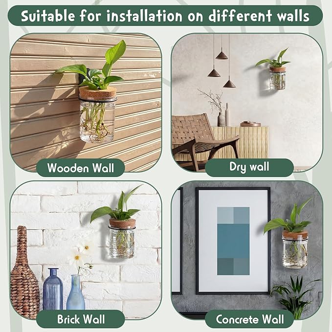Baderke 6 Set Wall Plant Holder with Plastic Propagation Vases Hanging Planter Wall Mounted Set for Plants Growing in Water Hydroponic Artificial Plants Indoor Decor (3.54" X 4.33",Stylish)