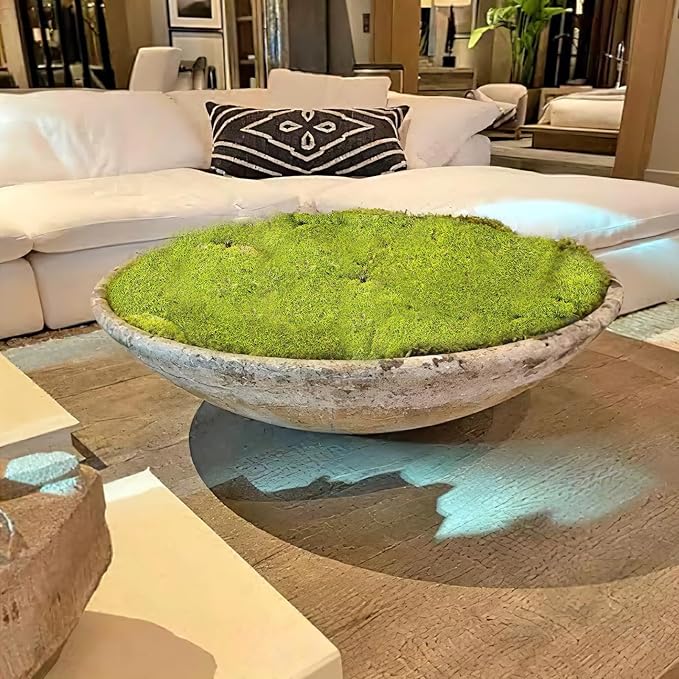 FAICOIA Preserved Pillow Moss Bulk Green Moss Balls for Bowls 2.5 sq.ft Natural Preserved Pole Moss Pillow for Wall Art Terrariums Crafts Fairy Gardens Pot Plants Easter Table Decor Yellow Green