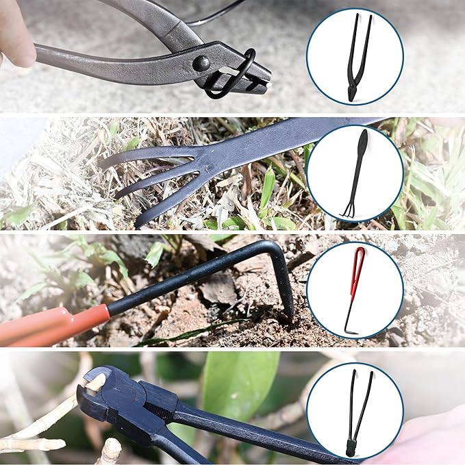 14-Piece Bonsai Tree Kit, Bonsai Tool Set, Carbon Steel Scissors Cutter Shears, Perfect Gardening Trimming Pruning Tools Jin Pliers, Rake with Spatula Starter Kit