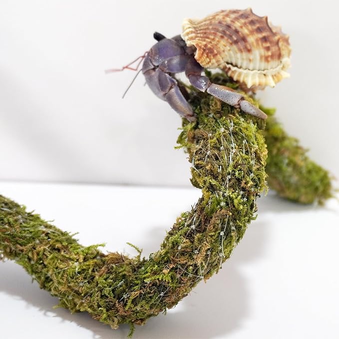 25 Inch Hermit Crab Climbing Toys, Bendable Hermit Crab Supplies, Ideal Hermit Crab Habitat Tank Terrarium Accessories
