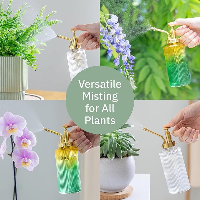 Glass Plant Mister for inside, Mister for Plants, Plant Sprayer Mister, Decorative Plant Mister Spray Bottle with Adjustable Nozzle for indoor plants (230ml/ 7.8oz) - Clear