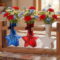 Remerry Patriotic Star Plant Terrarium with Wooden Stand 3 Star Shaped Glass Vases Planter Propagation Station Tabletop Planter for Hydroponics Decor Plant Lover Gift