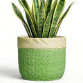 8 Inch Plant Pot - Ceramic Pots for Plants with Drainage Hole, Ceramic Flower Pots for Indoor Plants Outdoor, Decorative Boho Planter, House Garden Decor, Gardening Gifts for Women, Green