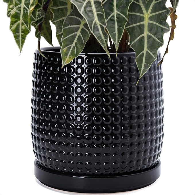 D'vine Dev 10 Inch Ceramic Beaded Stoneware Planter Pot - Flower Pot with Drainage Holes and Saucers for Indoor Succulent Plants or Flowers, Glossy Black, 27-C-P-2