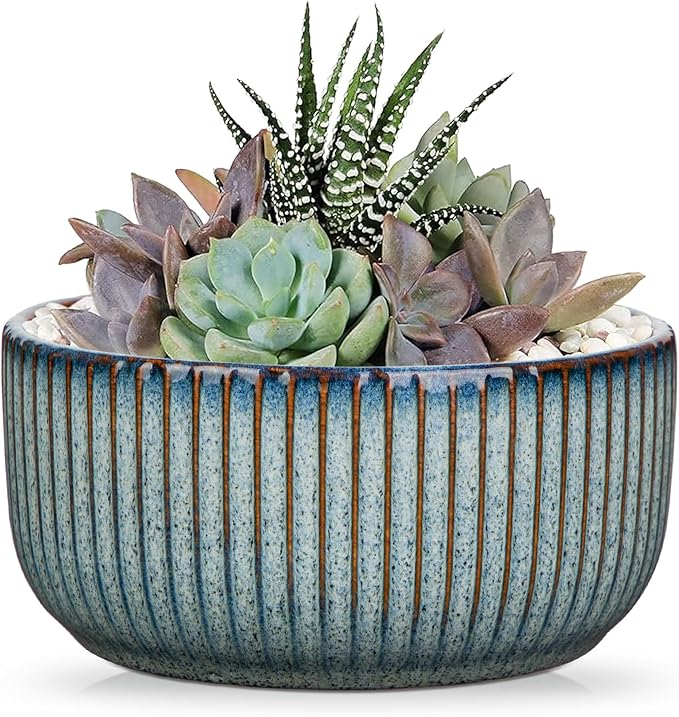 Plant Pots Indoor with Drainage Hole 6 inch Ceramic Plant Pot Grey Blue Succulent Pot Small Round Planters for Indoor Outdoor Plants Bonsai Bowl Decorative Flower Pots for Orchid Cactus Snake Plant