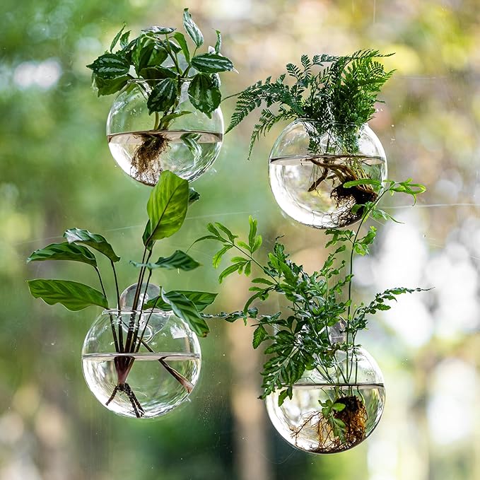 Window Propagation Stations, Oblate Glass Terrariums Planter with Suction Cup Hook, Wall Hanging Planters for Hydroponics Plants, Home, Office, Bathroom, Living Room Decor, Gift for Plant Lovers (6)