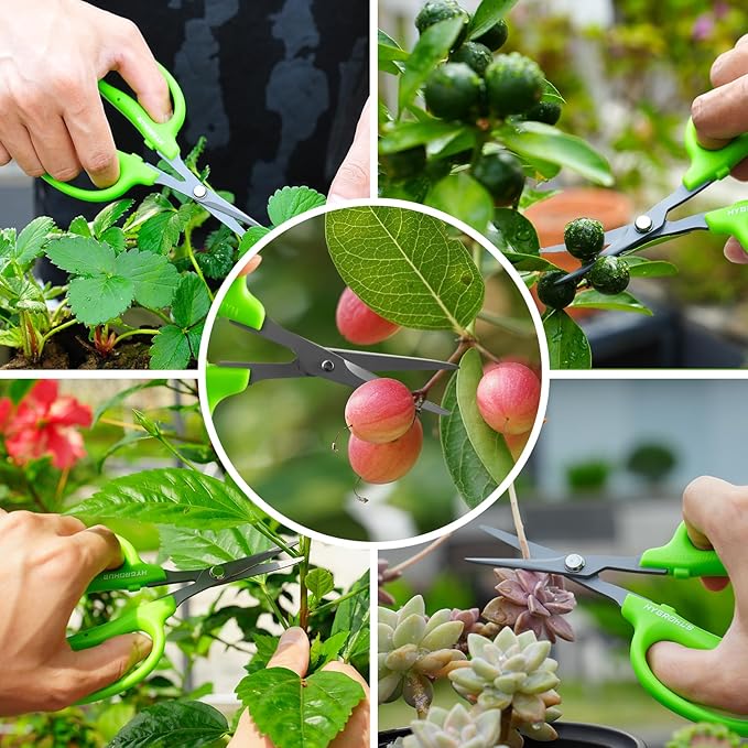 Garden Scissors Small Pruning Shears Gardening Snips Non-Stick Coating Sharp Steel Blade for Precise Cutters Bonsai Trimmer for Plants Flower Herb