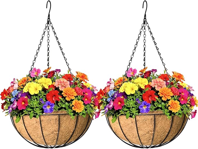 2 Pack 12 inch Hanging Baskets Planter for Plants Vegetables Flowers Outdoor Black Round Wire Plant Holder with Coco Fiber Liners Garden Balcony Patio Deck Porch Indoor Hanging Baskets