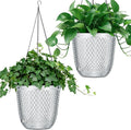 QCQHDU Hanging Planters for Indoor Plants, 2-Pack 5.7 Inch Self Watering Hanging Pots, Plastic Plant Hanger with Drainage Holes and 3 Hooks Chains for Garden Home (Clear)