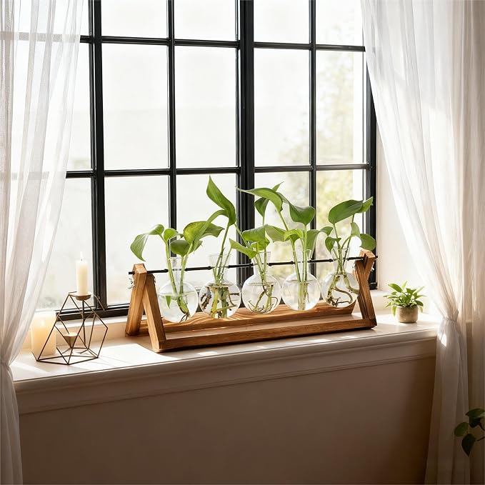 Renmxj Plant Propagation Station, Propagation Vases for Plants, Unique Gardening Birthday Gifts for Women Plant Lovers Mom Best Friend - 5 Bulb Glass Vases