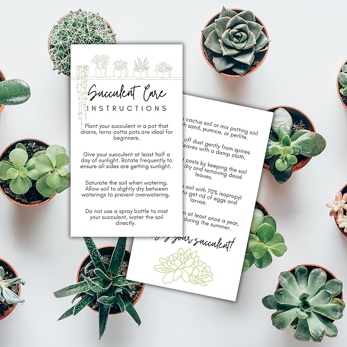 Succulent Care Instruction Cards with Icons 50pk 2x3.5” Home Propagated Plants Tags Labels White Simple for Sale Client Care How to Water Kit