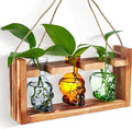 Colored Plant Terrarium Propagation Stations | Borosilicate Glass Hydroponic Vases | Ideal for Succulents, Air Plants, and Plant Cuttings | Unique Halloween Decoration | Creative Gift for Parents