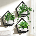3 Packs Wall Hanging Planters for Indoor Plants, 7.9inch Metal Wall Plant Holder Hanger Wall Decor, Wall-Mounted Hanging Planters Window Plant Shelves Outdoor(Black)