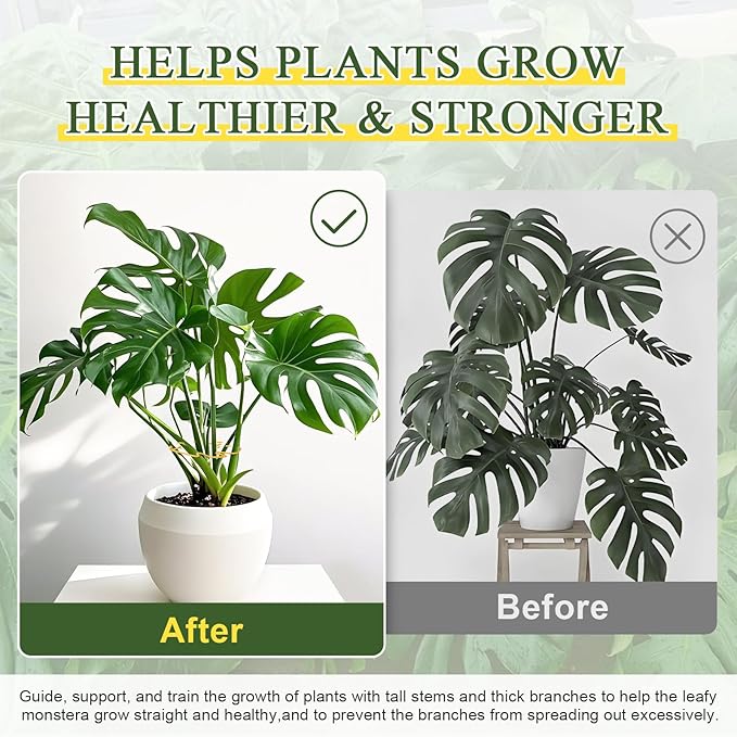 Monstera Plant Support 5 Pack, Plant Supports for Indoor Plants, Metal Plant Stem Holder Large Plant Support Ring for Climbing Plants Stem Stabilizer Moss Pole Growth