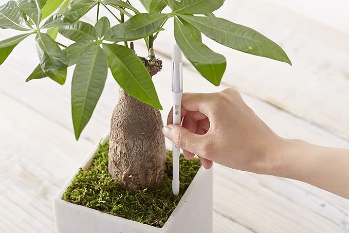 Sustee Aquameter, Set of 5, Plant Soil Moisture Sensor (Green, Small)