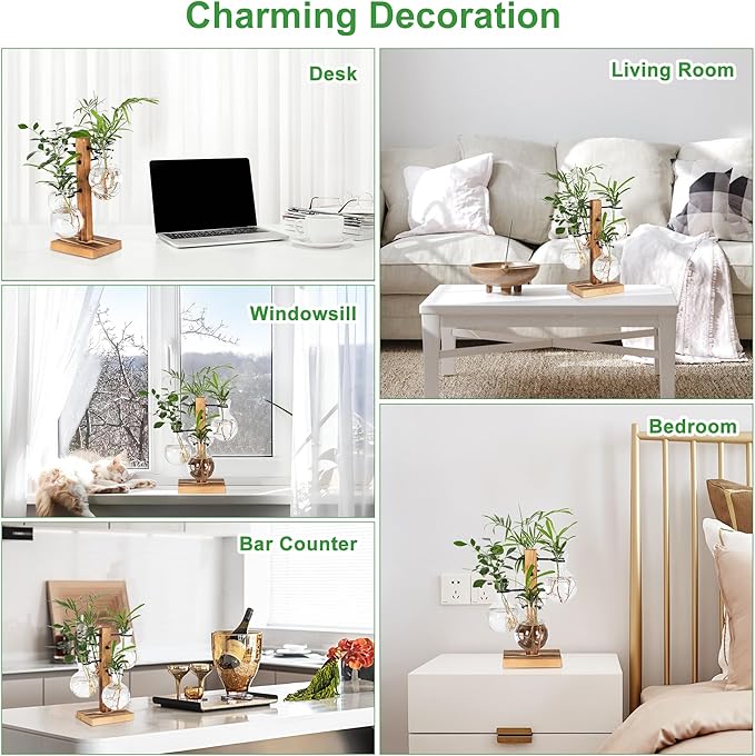 Plant Propagation Station with 4 Glass Vases & Wood Stand, Hydroponic Air Planter for Indoor Plants, Unique Gardening Gift for Women & Plant Lovers, Desktop Terrarium for Home Decor