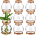 Baderke 9 Packs Propagation Vases for Plants Plastic Plant Propagation Station with Hole Lid and Cork Coasters Plant Growing in Water Hydroponic Home Office Table Decoration(Fish Bowl Style)