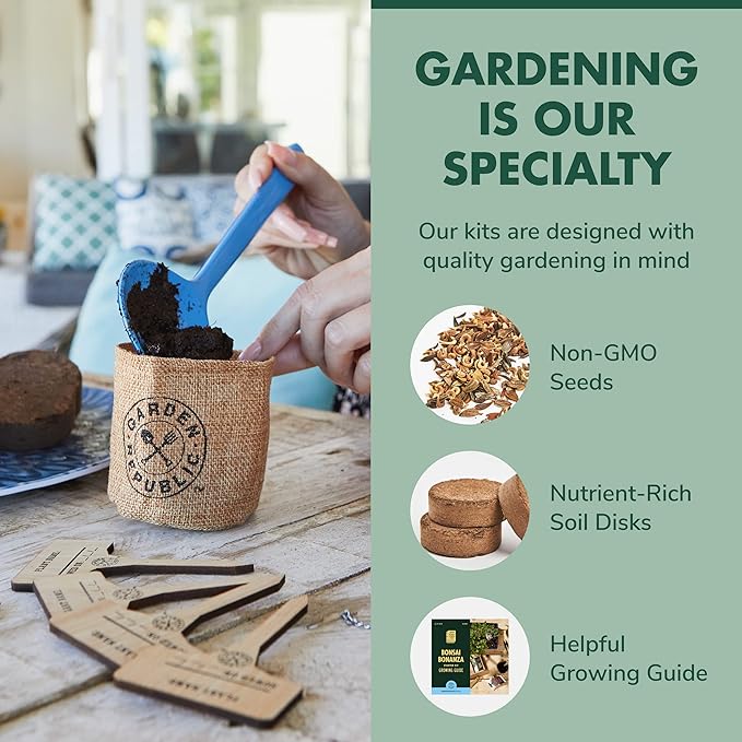 Garden Republic Bonsai Tree Kit - Mini Bonsai Seeds, 3 Types - for Indoor Plant Growing - Starter Kit with Seeds, Soil, Planters & Shears