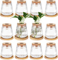 Baderke 12 Packs Propagation Vases for Plants Plastic Plant Propagation with Hole Lid and Bamboo Stand Growing in Water Hydroponic Home Office Desktop Vase Decoration