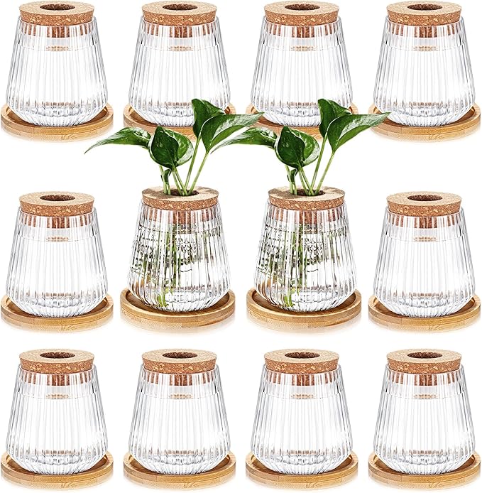 Baderke 12 Packs Propagation Vases for Plants Plastic Plant Propagation with Hole Lid and Bamboo Stand Growing in Water Hydroponic Home Office Desktop Vase Decoration
