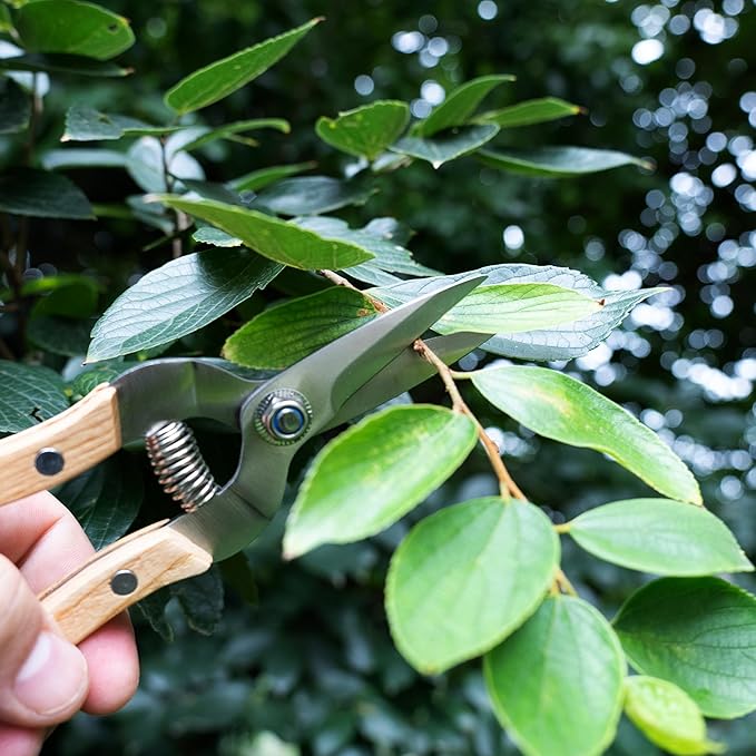 Rooty 7.5" Gardening Pruning Snips - Pruner Shear with Straight Stainless Steel Precision Blades, Essential Gardening Tools and Accessories for Gardening Gifts