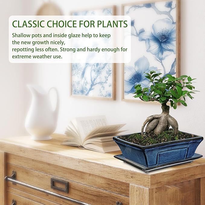 Large Ceramic Bonsai Pots with Drainage Trays Set of 2, 10" Blue Glazed Bonsai Planters for Indoor/Outdoor Use, Rectangular Shallow Bonzai Tree Pot for Succulent, Orchids, Cacti, Home, Patio, Garden