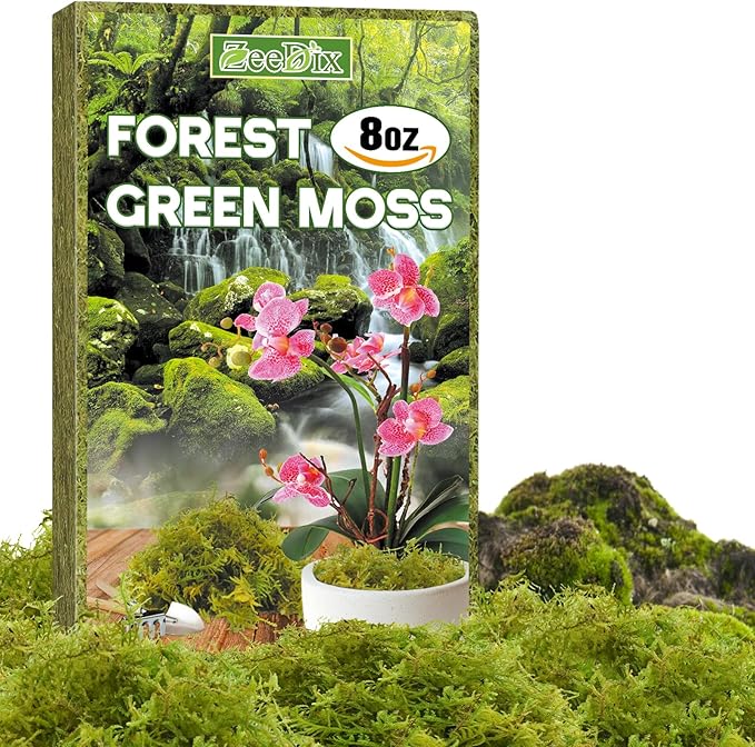 ZeeDix 8 oz Forest Moss for Plants Indoor - Dried Orchid Moss for Repotting, Natural Green Sphagnum Moss for Potted Plants Carnivorous Monstera Succulents Crafts Reptile Habitat (Expands to 12 qt)