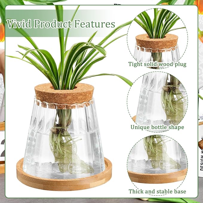 Beeveer 6 Pcs Plants Propagation Station Separated Desktop Plant Terrarium with Wood Lid and Stand, 3 Sizes Glass Planter Propagated Jars Propagation Vases for Indoor Home (Cute Style)