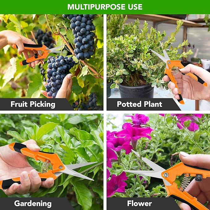 iPower 6-Pack 6.5 Inch Garden Hand Pruner Shears with Straight Stainless Steel Blades Scissors, for Hydroponic Trimming Herb/Flowers/Vegetables/Plants, Orange