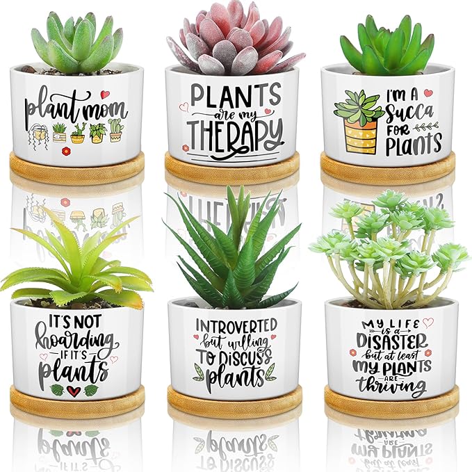6 Pcs Funny Succulent Plant Pot Cute Christmas Teacher Gifts Box Set Plant Pot with Bamboo Tray Ceramic Funny Planter Succulent Accessories for Women Teacher Christmas Birthday Gifts (Cute Style)