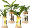 Glass Plant Propagation Stations, Propagation Vases for Plants with Ambient Light Base, Hydroponic Vase for Home & Office Windowsill Tabletop Decoration Desktop Vases for Living Room, Bedroom (4)