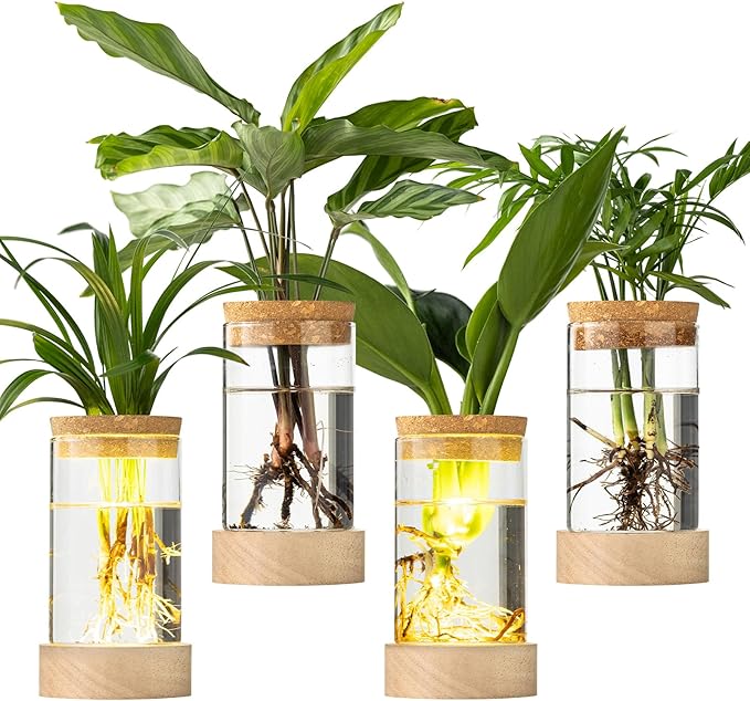 Glass Plant Propagation Stations, Propagation Vases for Plants with Ambient Light Base, Hydroponic Vase for Home & Office Windowsill Tabletop Decoration Desktop Vases for Living Room, Bedroom (4)