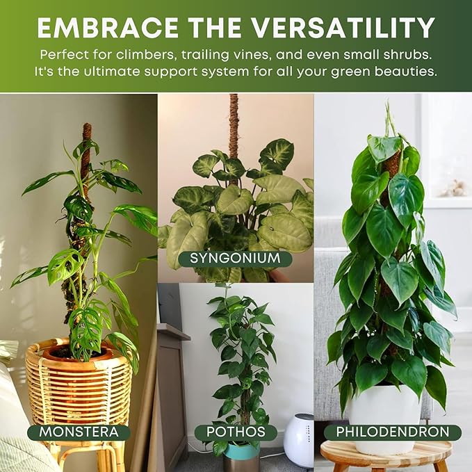 Moss Pole Monstera Plant Support | 48 Inch Plant Stakes for Indoor Plants | Coconut Palm Fiber Moss Poles for Climbing Plants | Handmade Plant Sticks Support Tall Monstera, Pothos & More