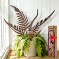 6-Pack Metal Flower Decorative Garden Stakes, Rustic Fern Plant Picks, Handmade Metal Outdoor Garden Decor for Flower Beds, Fairy Gardens, Yard Art&Potted Plants Gift-Boxed Indoor&Outdoor Decor