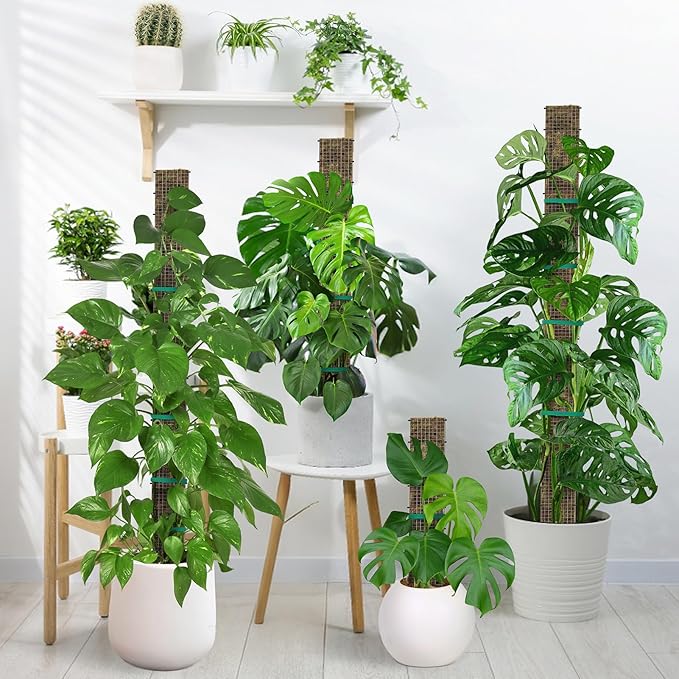 24"+40"+60" Metal Moss Pole - 6 Pack D Shape Sphagnum Moss Pole, Moss Poles for Climbing Plants, Monstera, Climbing Plants Indoor