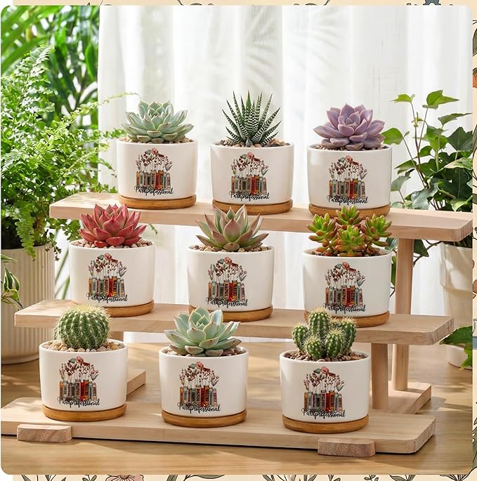 12 Pcs Paraprofessional Appreciation Gifts Succulent Planter Pots Ceramic Mini with Bamboo Trays Bulk for Teacher Assistant para Coworker Office Graduation Gifts, Plants Excluded